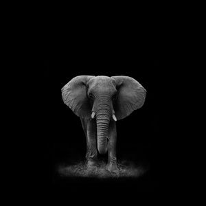 Meet your Posher, Randy